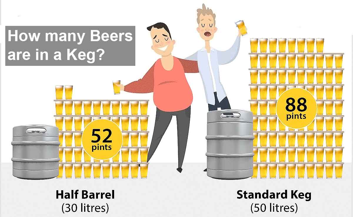 Guide To Beer Keg Sizes And Dimensions Off