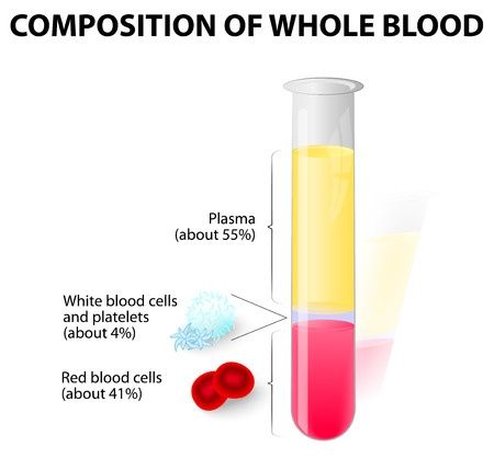 plasma donate near me