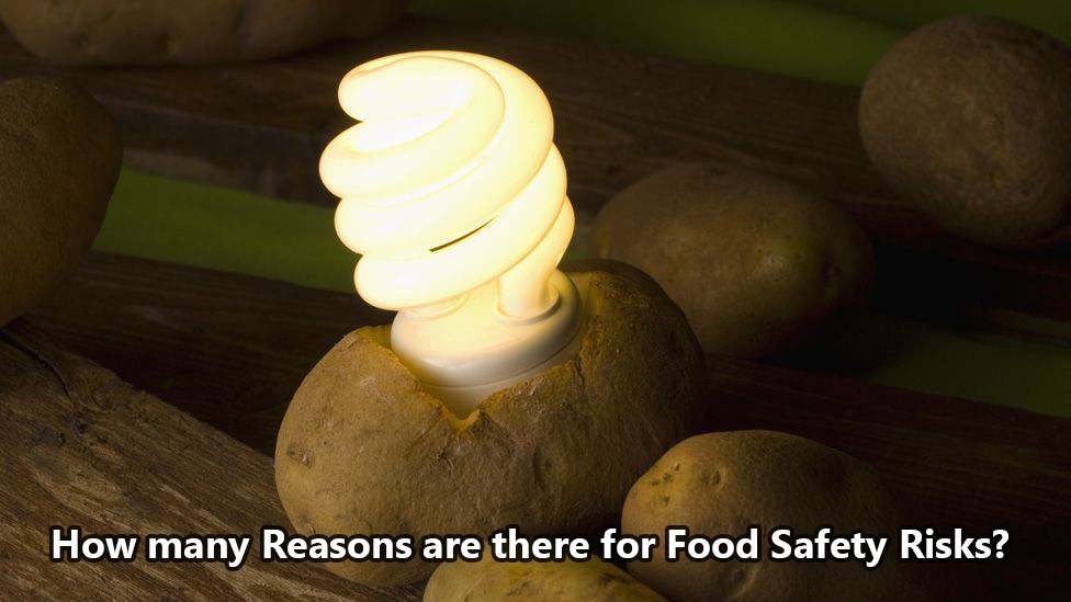 How Many Reasons are There for Food Safety Risks