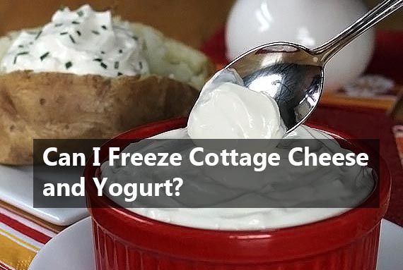 Can I Freeze Cottage Cheese and Yogurt