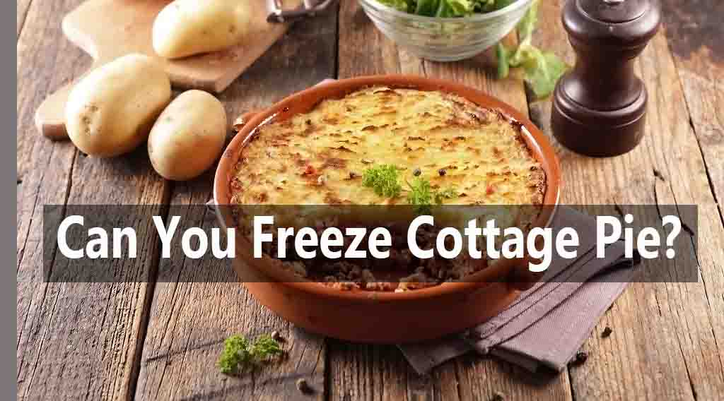 Can you Freeze Cottage Pie?