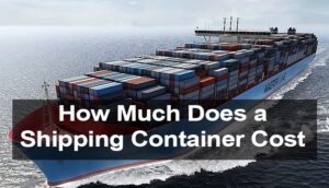 How Much Does a Shipping Container Cost? Size, Housing, Transport