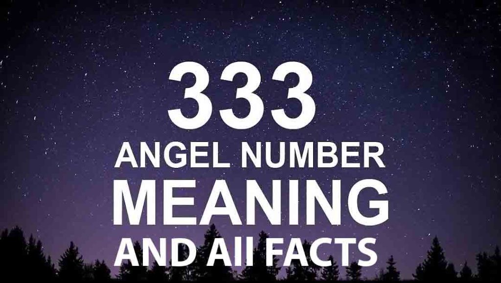 Additional Facts About The Number 333