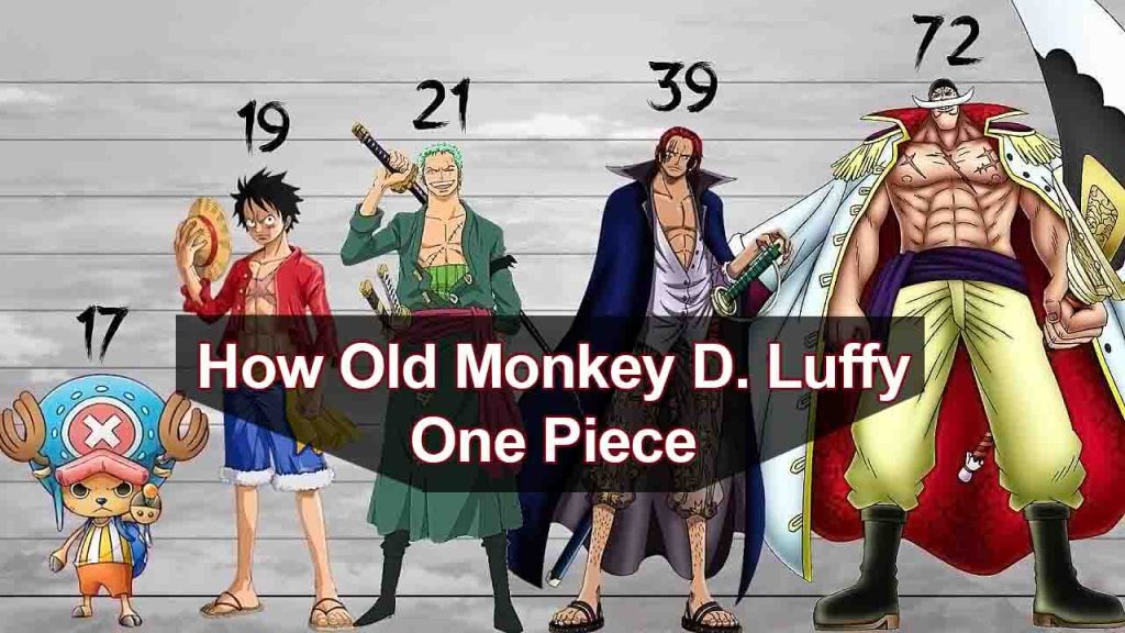 How Old Is Luffy