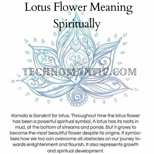 What is a Lotus Flower Meaning Spiritually?
