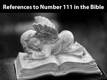 References to Number 111 in the Bible