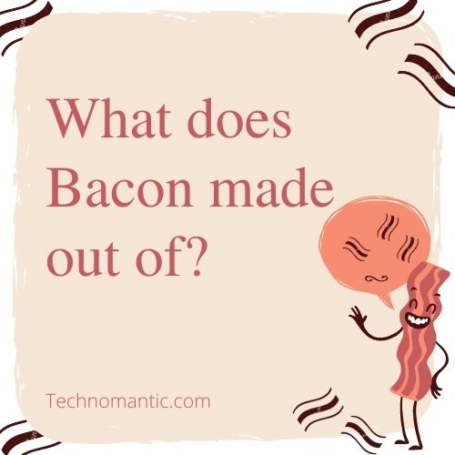 What does Bacon made out of