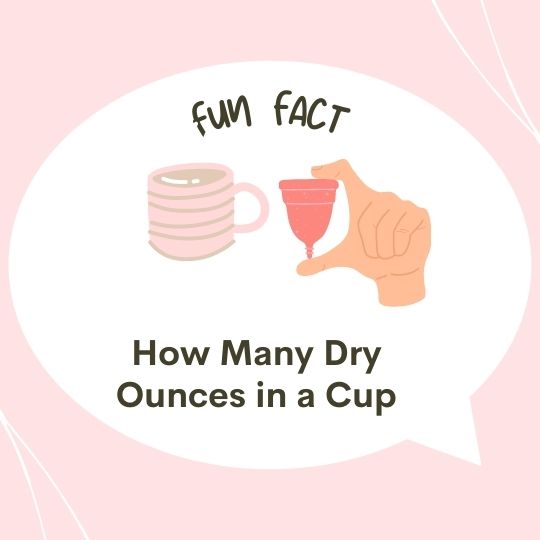 How Many Dry Ounces in a Cup
