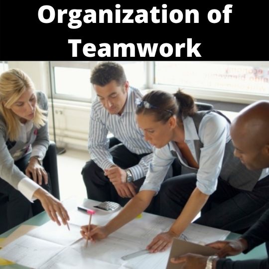 Organization of teamwork