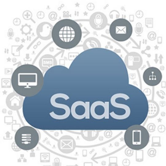 With the help of SaaS software, all these problems have been eliminated.