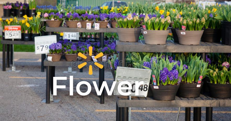 does-walgreens-sell-flowers-2022-price-location