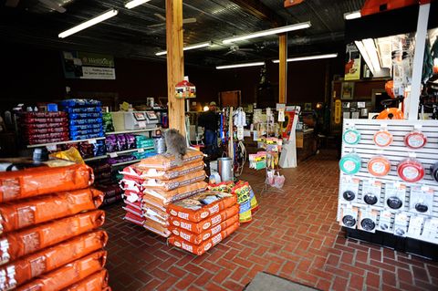 Local Feed Supply Stores