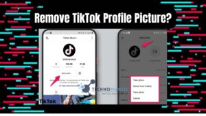 How to Remove TikTok Profile Picture