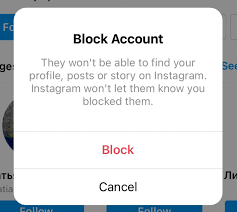 Blocked By An Instagram User