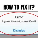 What does Ingress Timeout Stream Id Mean on Instagram