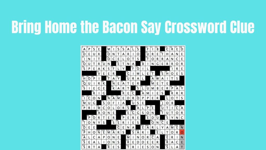 Bring Home The Bacon Say Crossword Clue