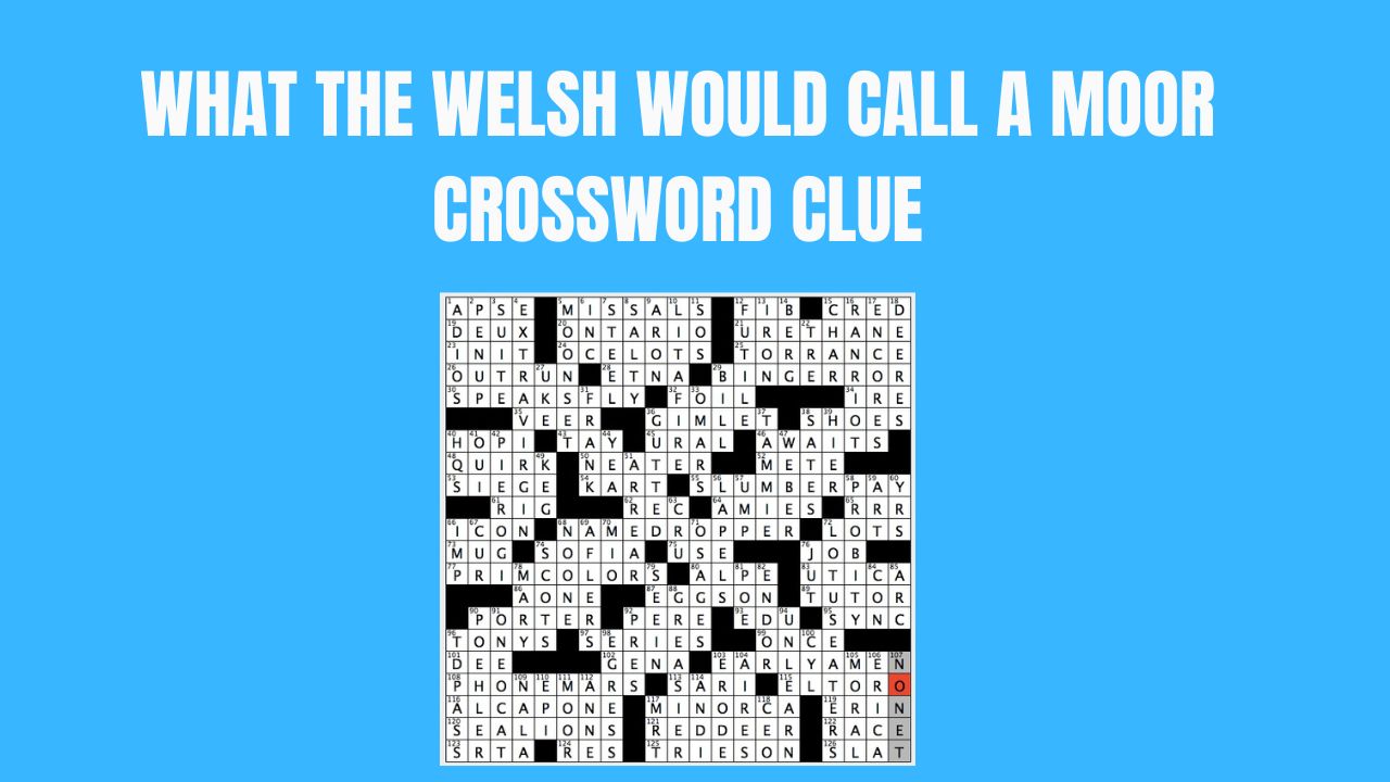 What The Welsh Would Call A Moor Crossword Clue (Answered)
