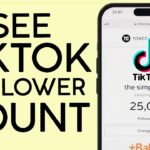 live TikTok follower count