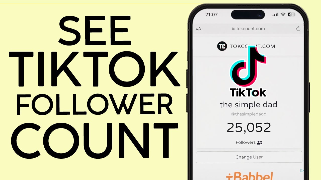 live TikTok follower count