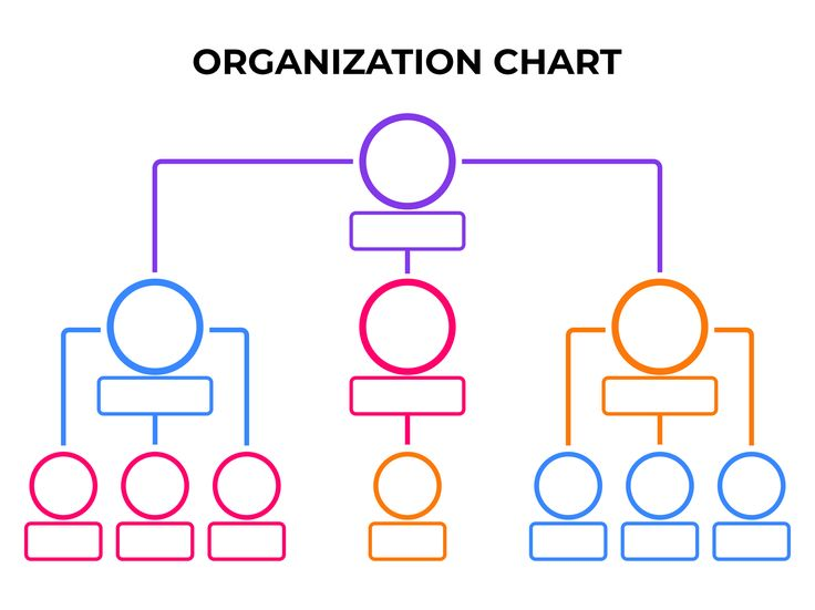 organization chart template word