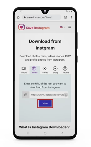 download instagram reel no watermark