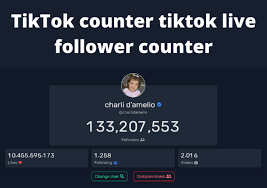 live TikTok follower count