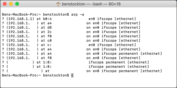 mac ip address terminal command