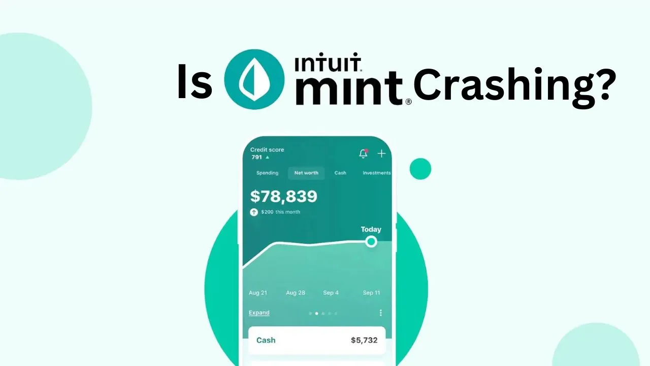 is your mint app crasing